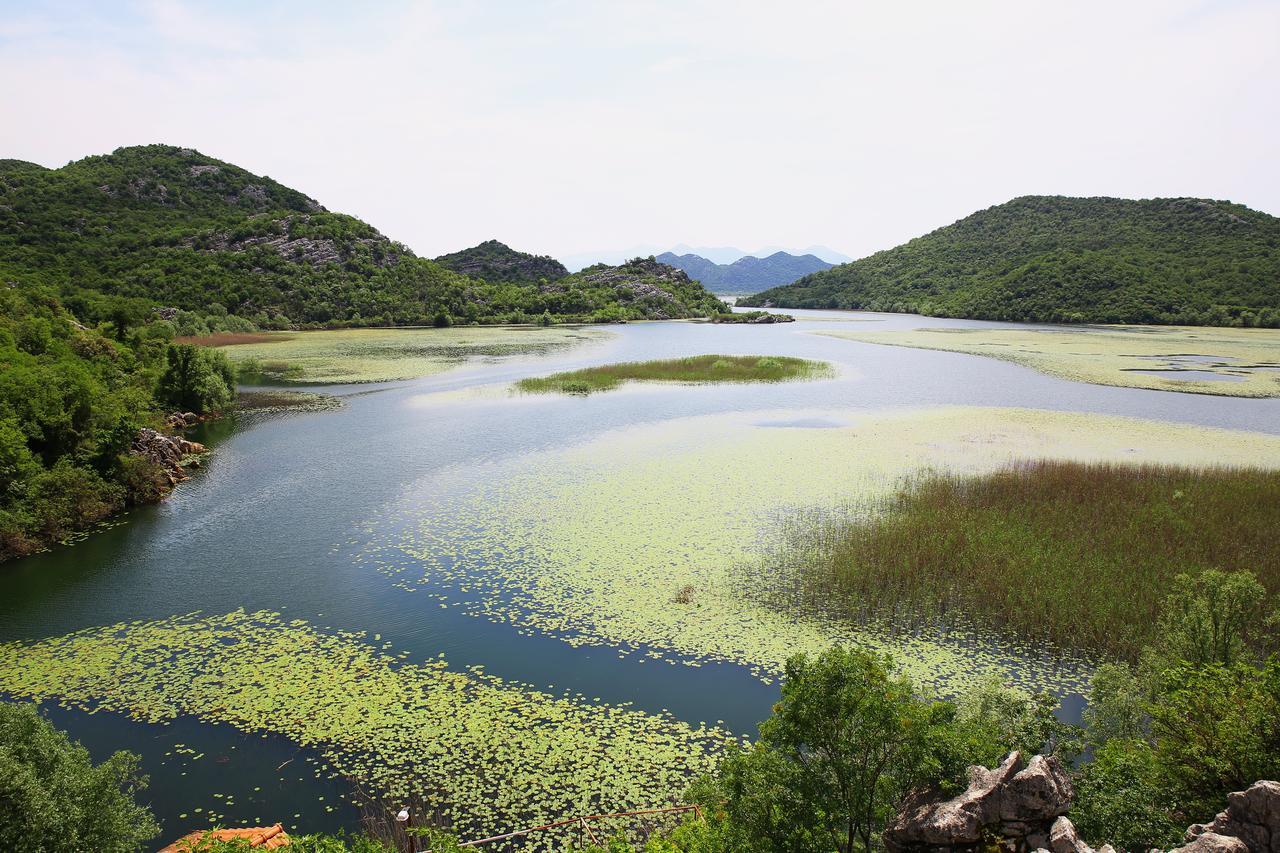Villa Skadar Lake Karuc Ngoại thất bức ảnh